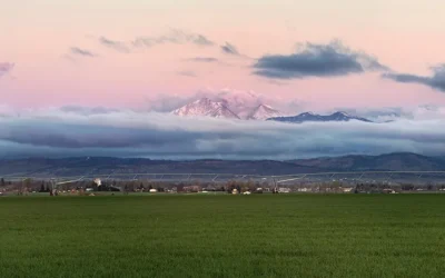 Omega Enters Joint Venture for Estate Lot Subdivision in Platteville, Colorado